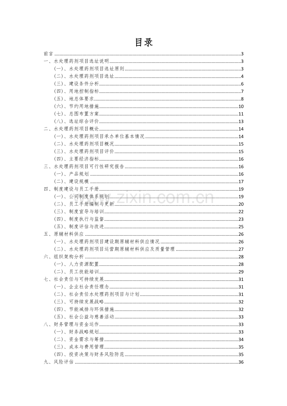 水处理药剂项目投资分析及可行性报告.docx_第2页