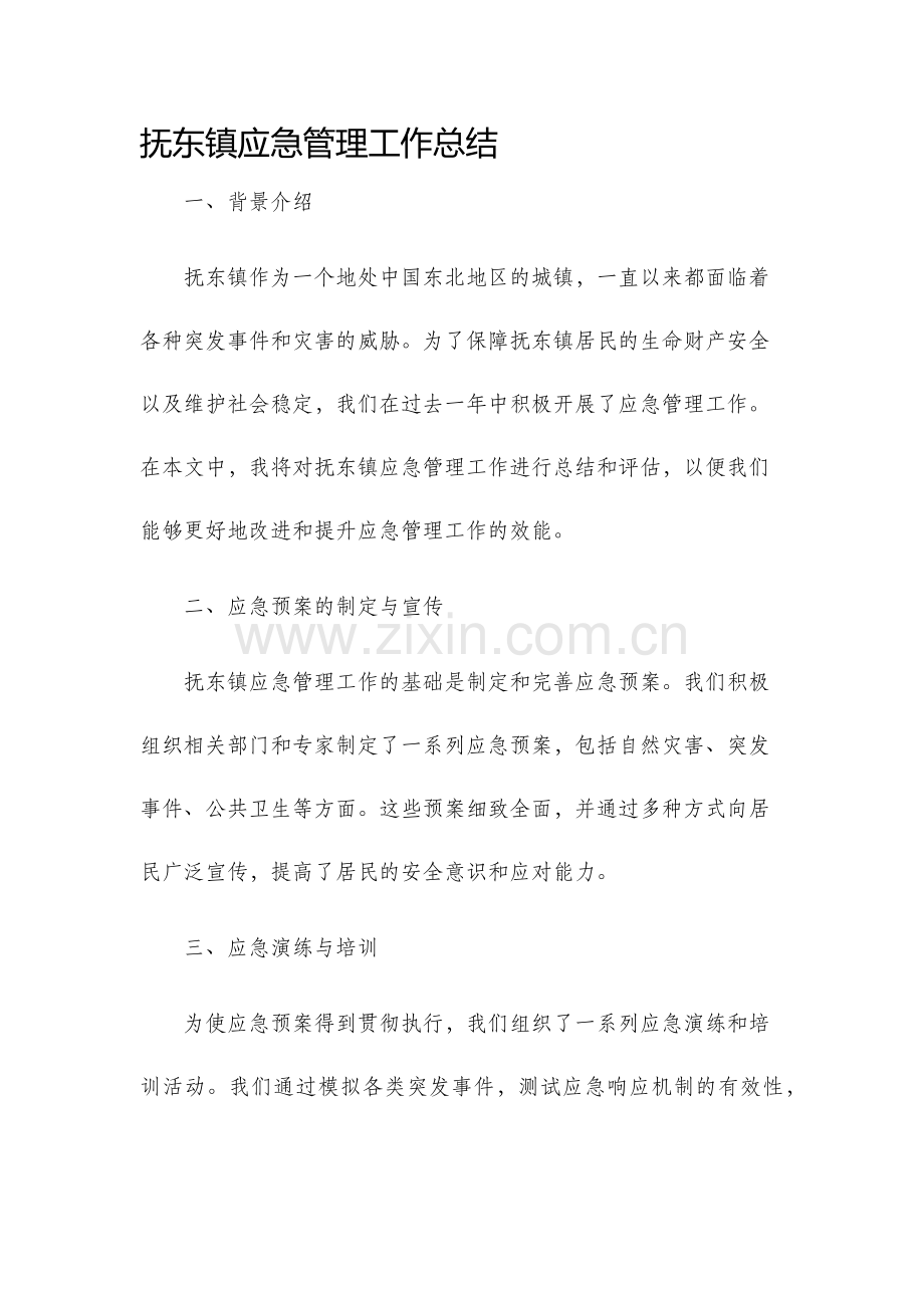 抚东镇应急管理工作总结.docx_第1页