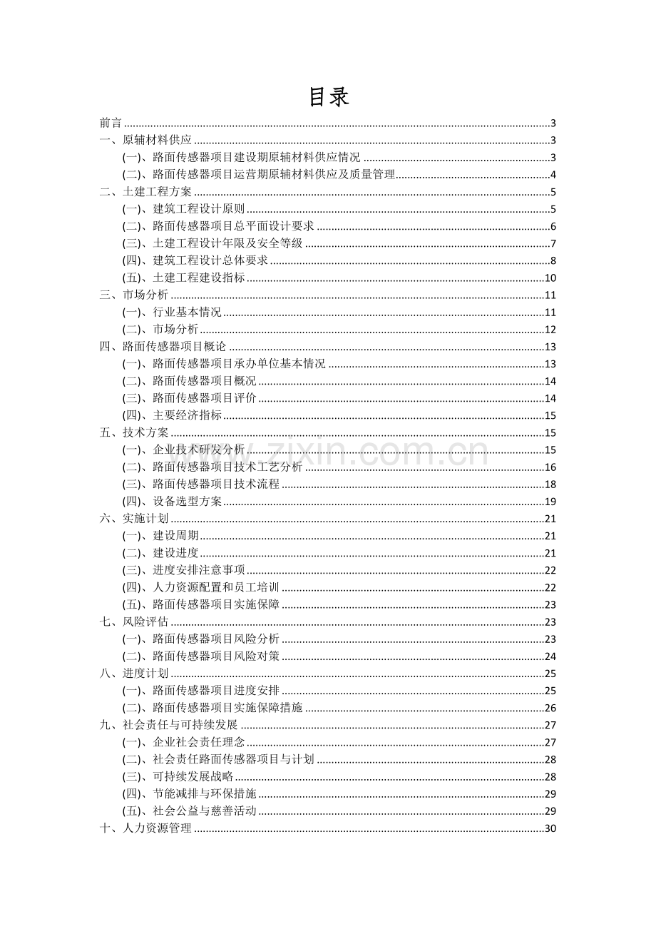 路面传感器项目可行性研究报告.docx_第2页