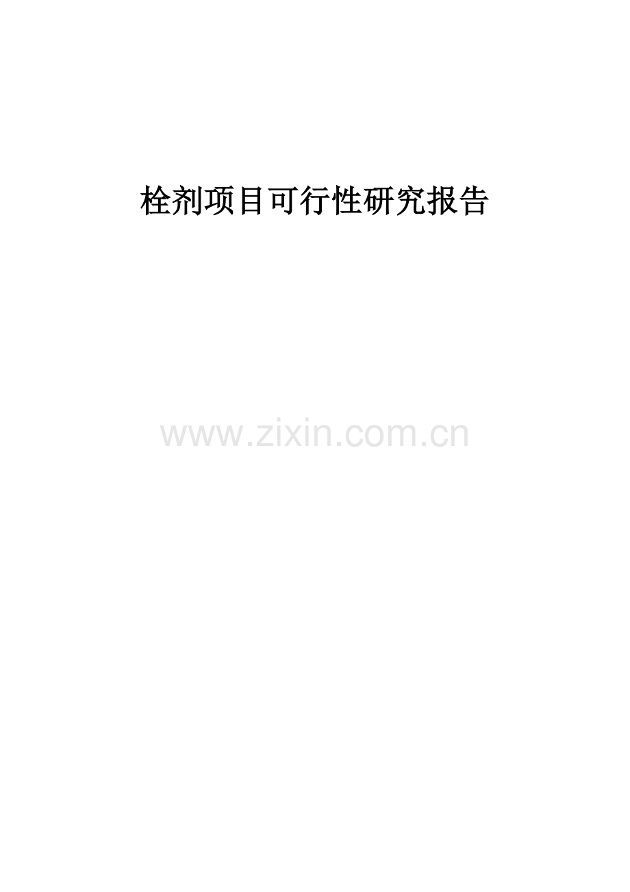 栓剂项目可行性研究报告.docx_第1页