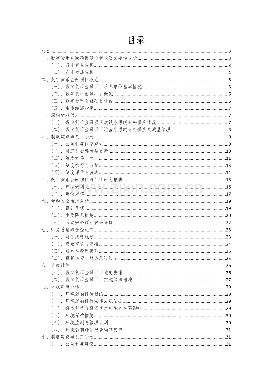 数字货币金融项目可行性分析报告.docx_第2页