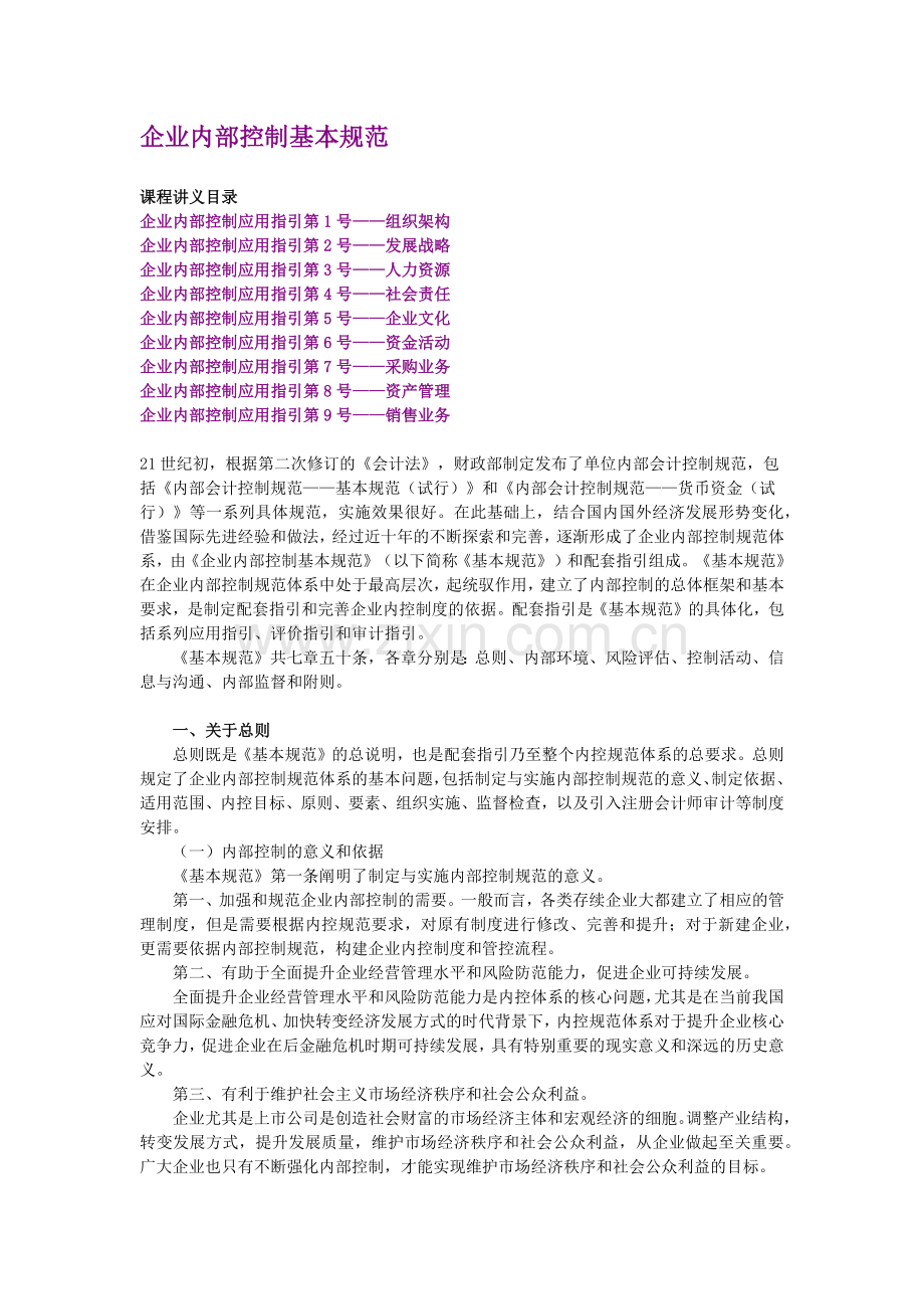 XXXX年会计继续教育《新企业内部控制基本规范》讲义.docx_第1页