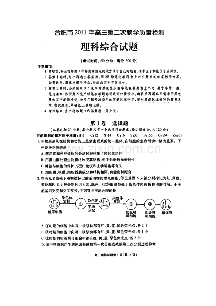 安徽省合肥市XXXX届高三第二次教学质量检测高清扫描版(理综)(有答案.docx_第1页