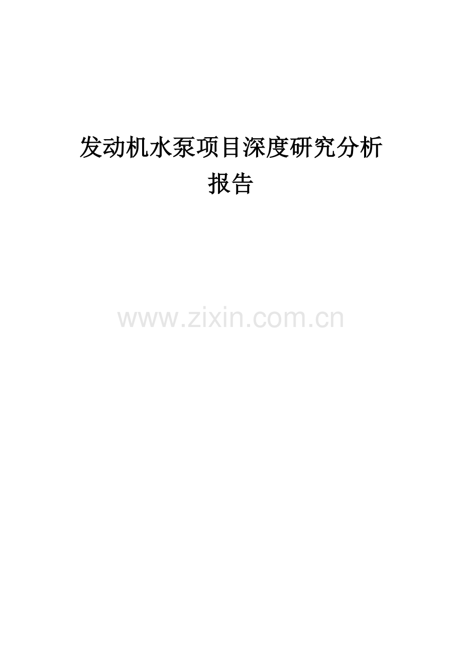 发动机水泵项目深度研究分析报告.docx_第1页