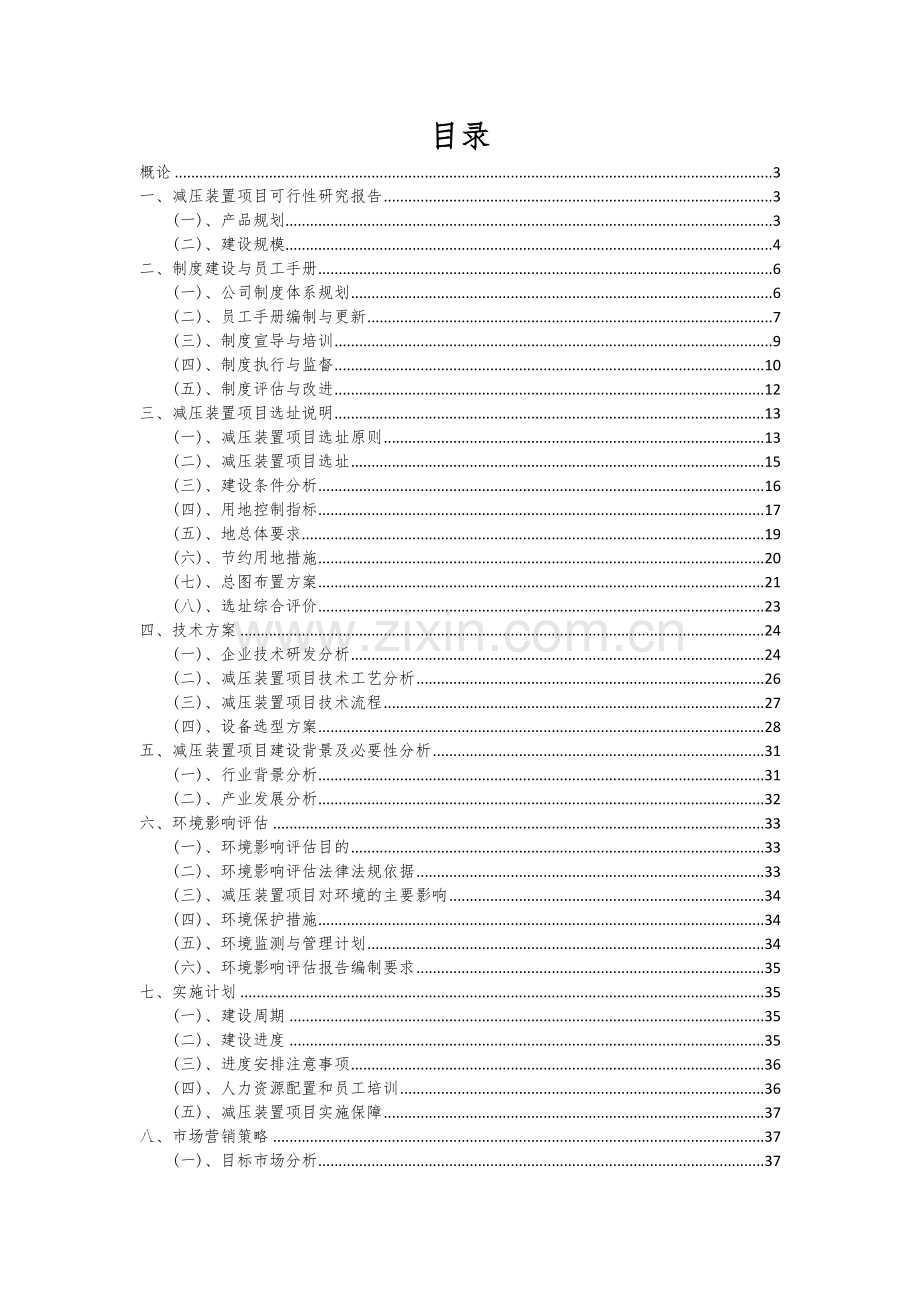 减压装置项目可行性分析报告.docx_第2页