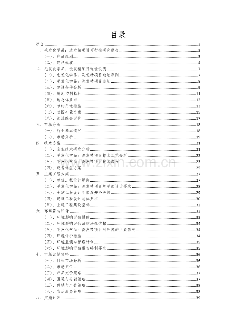 毛发化学品：洗发精项目可行性分析报告.docx_第2页