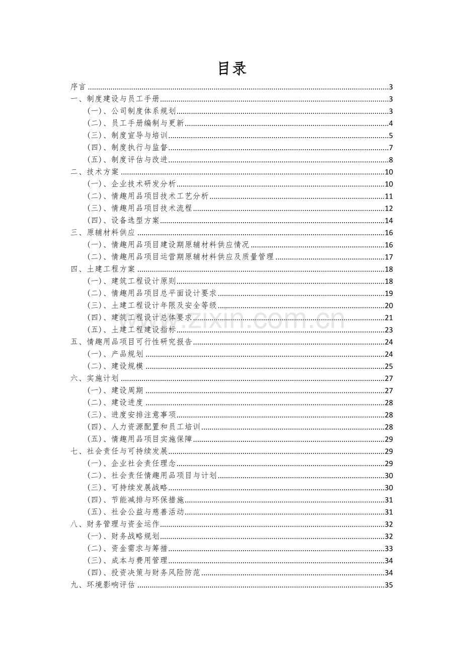 情趣用品项目可行性研究报告.docx_第2页