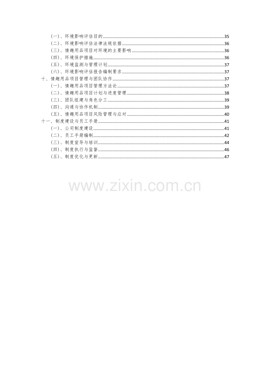 情趣用品项目可行性研究报告.docx_第3页