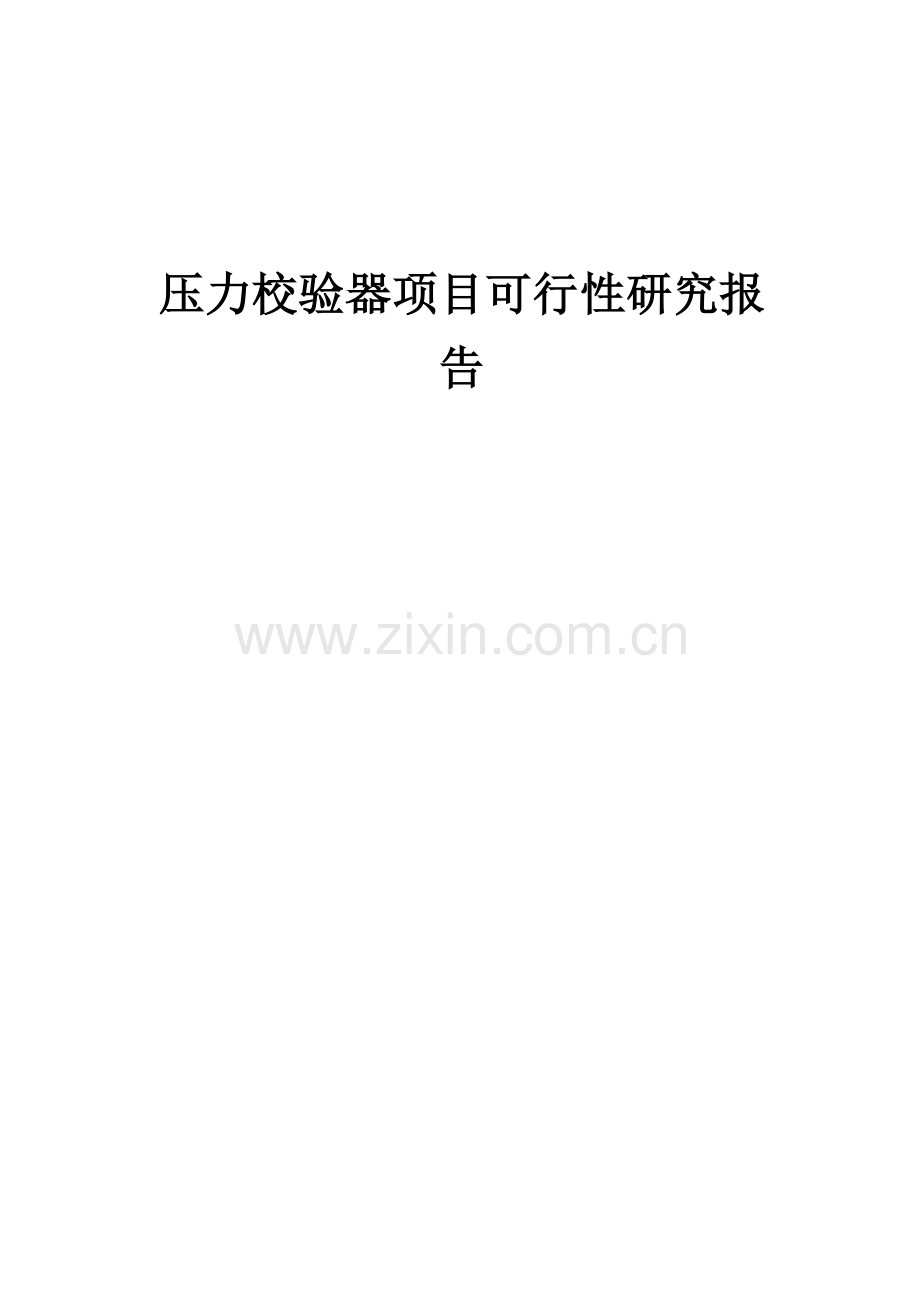 压力校验器项目可行性研究报告.docx_第1页