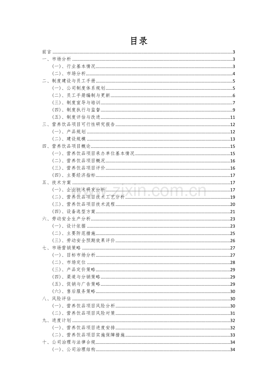 营养饮品项目可行性分析报告.docx_第2页