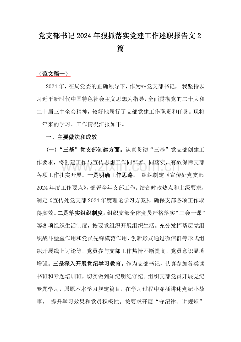 党支部书记2024年狠抓落实党建工作述职报告文2篇.docx_第1页