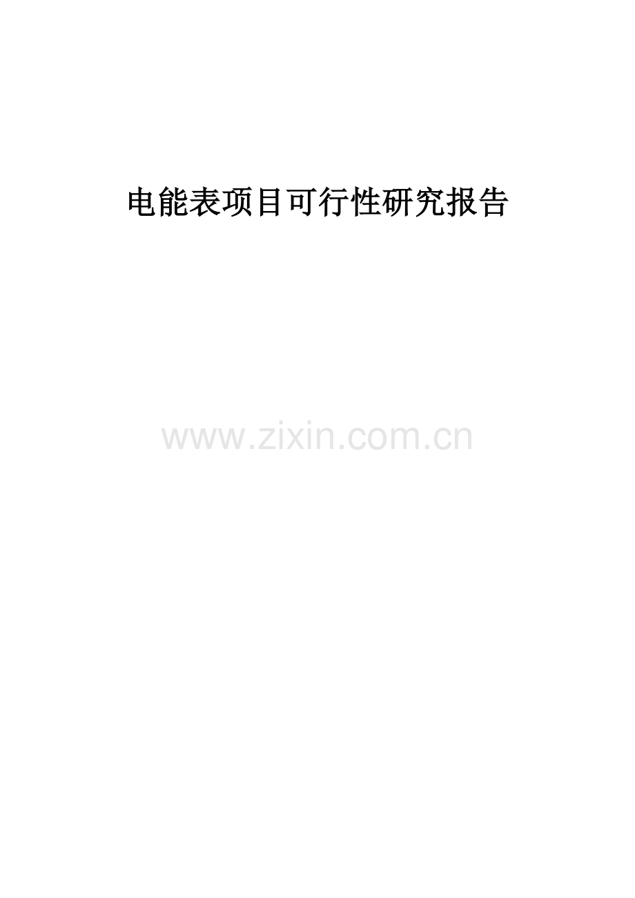 电能表项目可行性研究报告.docx_第1页