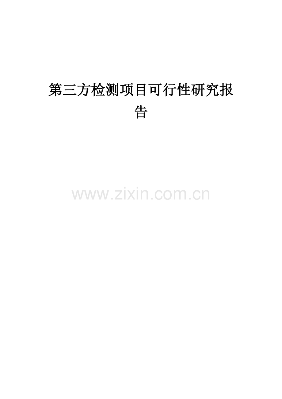 第三方检测项目可行性研究报告.docx_第1页