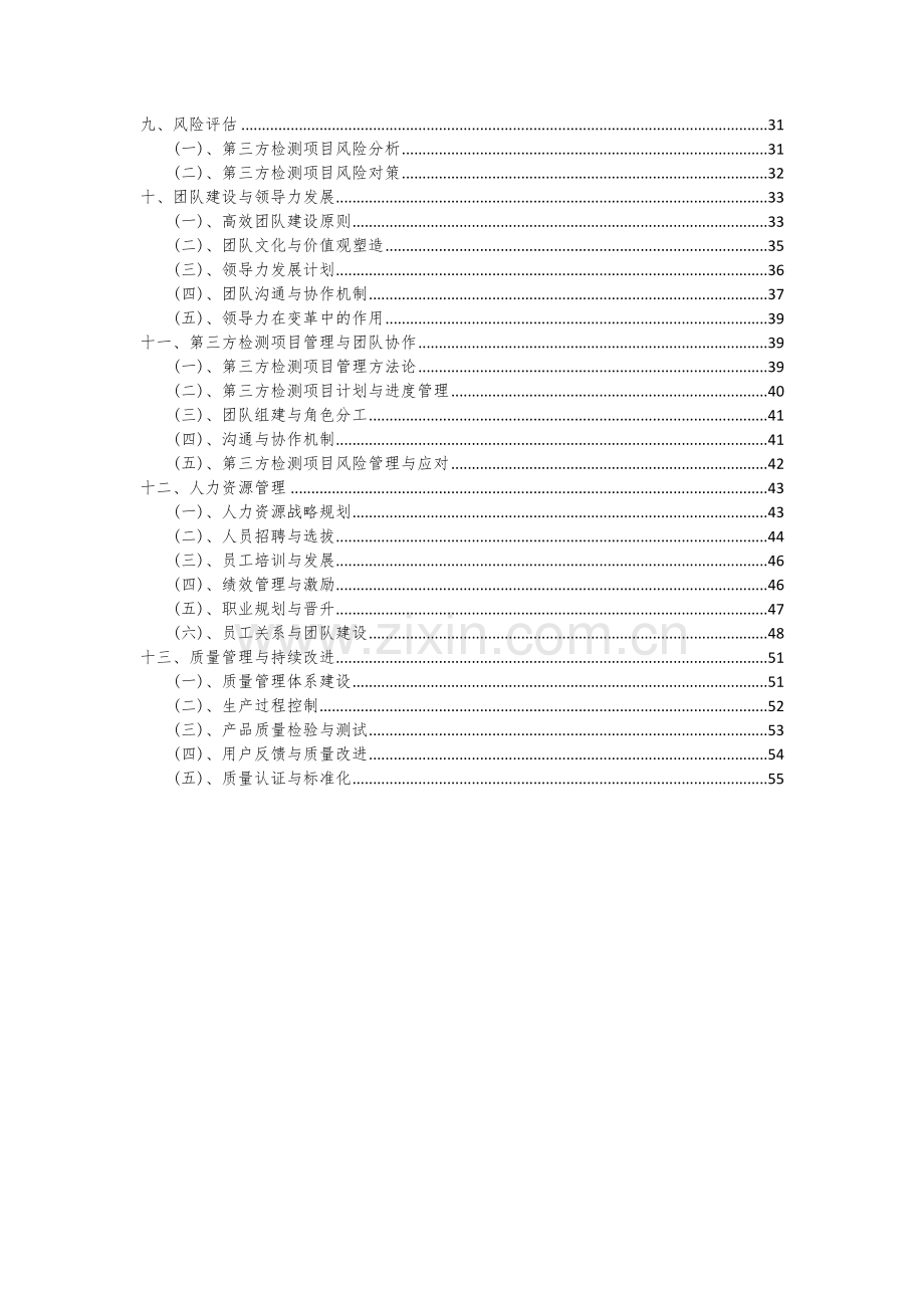 第三方检测项目可行性研究报告.docx_第3页