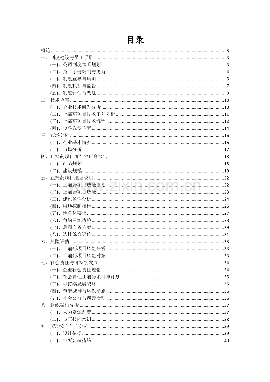 止痛药项目可行性研究报告.docx_第2页