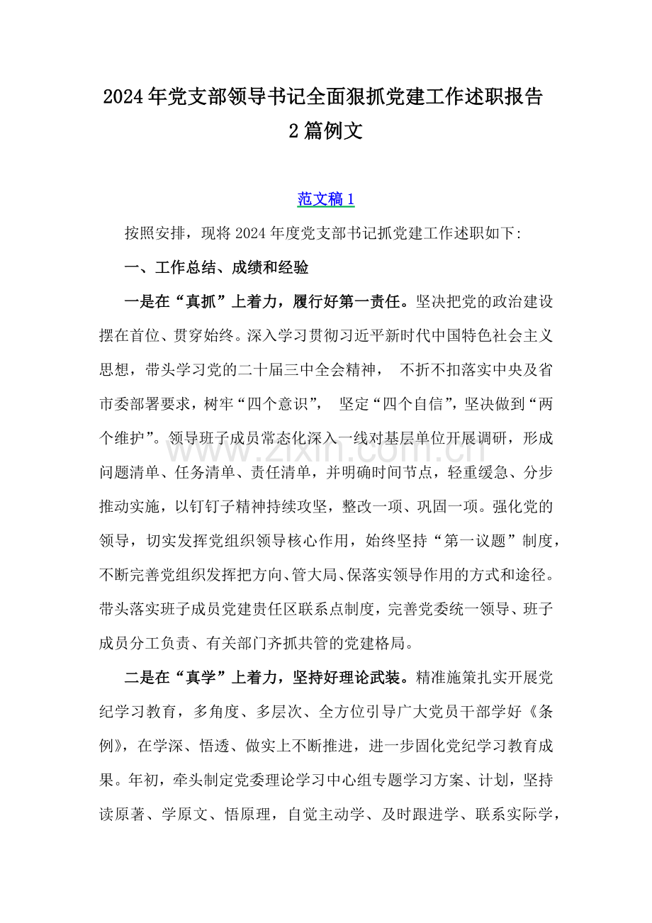 2024年党支部领导书记全面狠抓党建工作述职报告2篇例文.docx_第1页