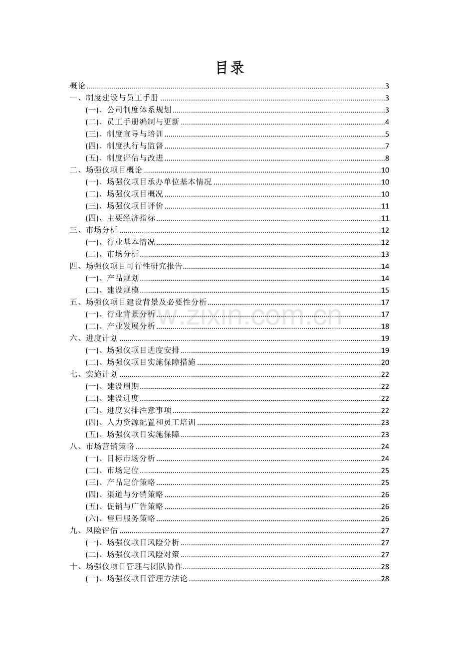 场强仪项目可行性研究报告.docx_第2页