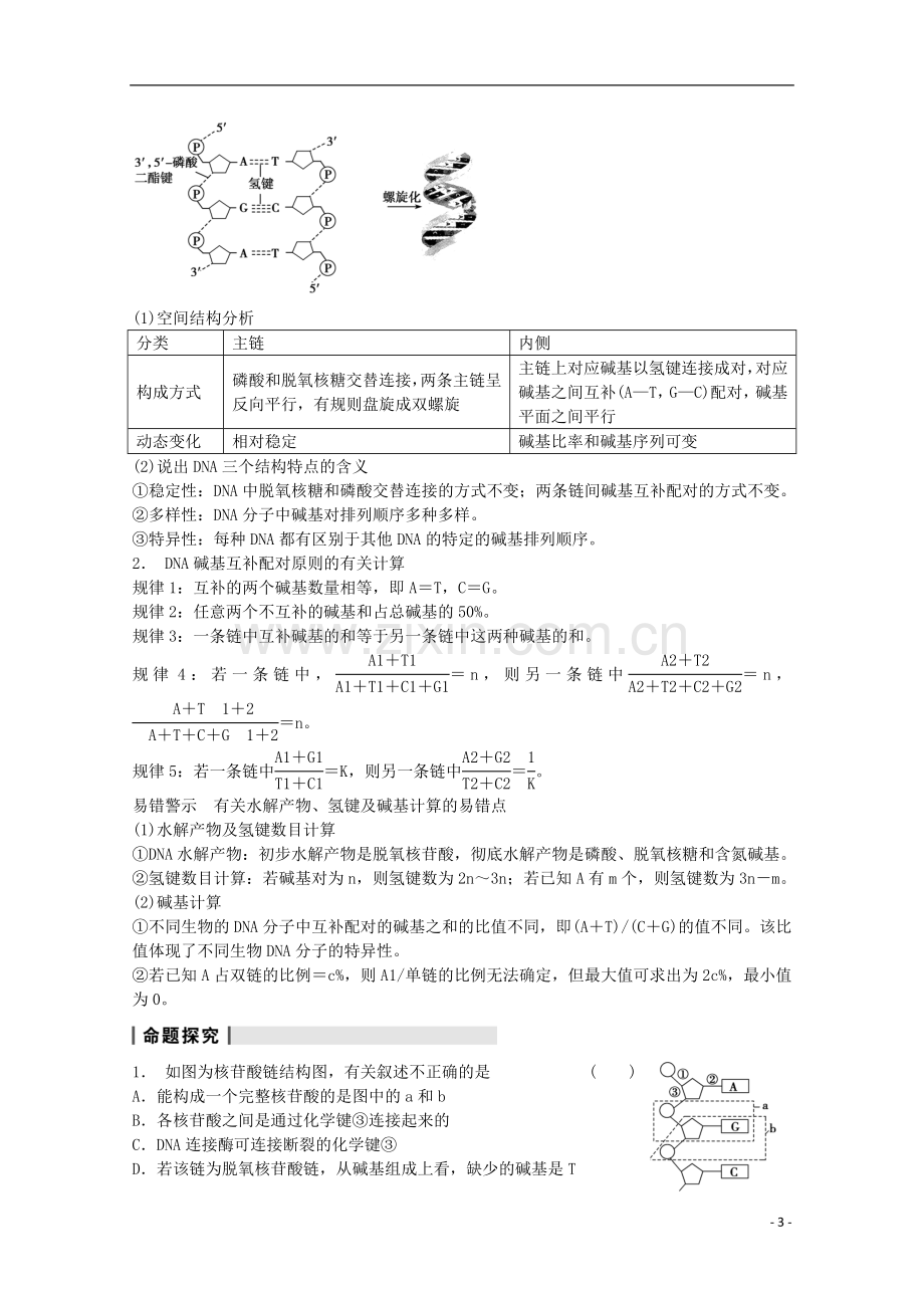 2014年高考生物大一轮复习-第六单元-第19讲-DNA分子的结构、复制及基因是有遗传效应的DNA片段教案.doc_第3页