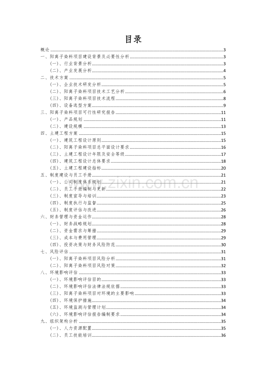 阳离子染料项目可行性分析报告.docx_第2页