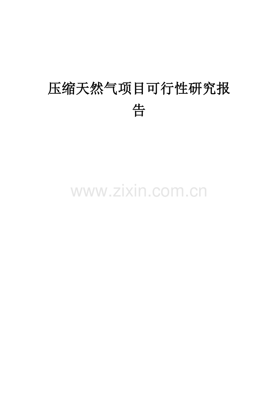 压缩天然气项目可行性研究报告.docx_第1页