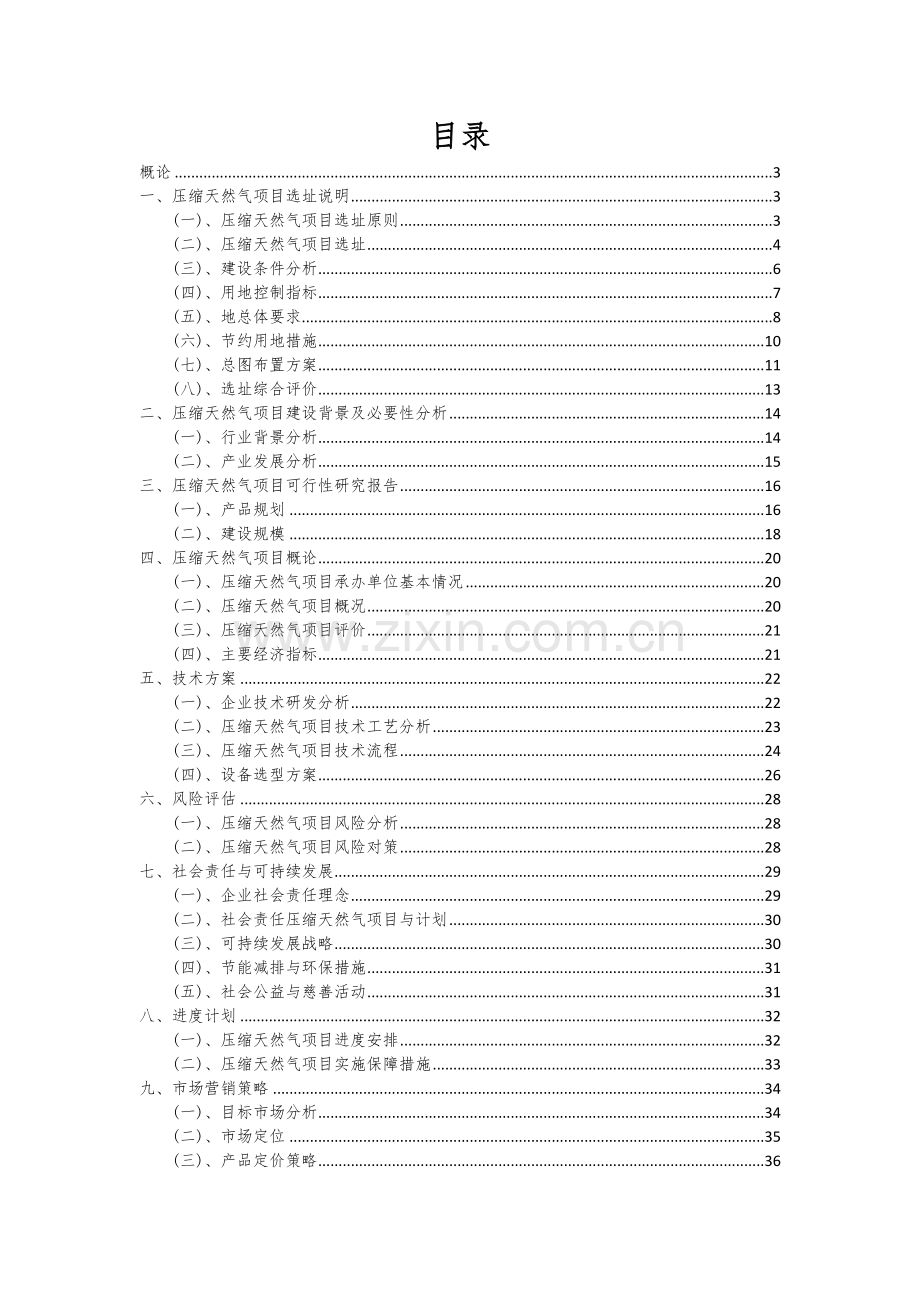 压缩天然气项目可行性研究报告.docx_第2页