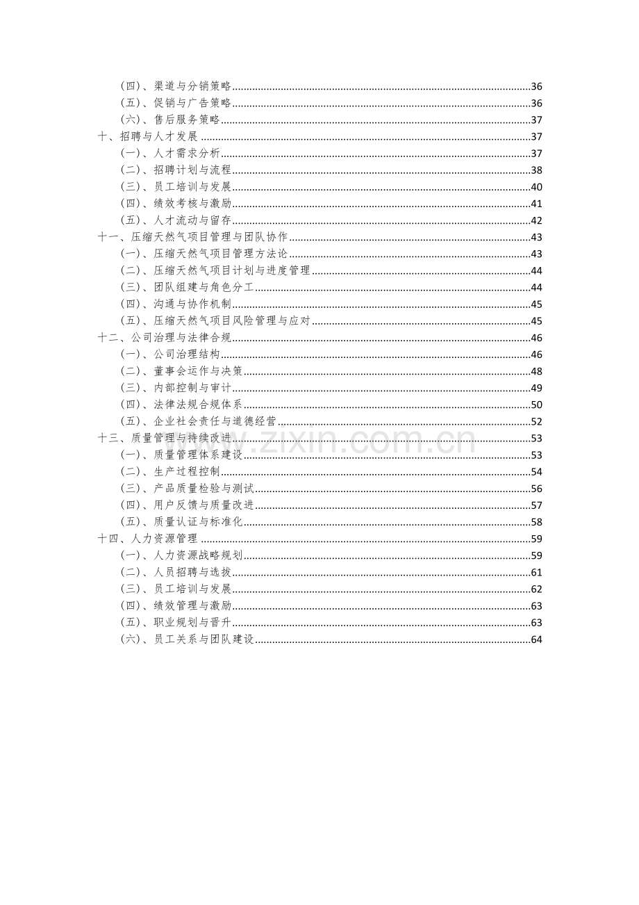 压缩天然气项目可行性研究报告.docx_第3页