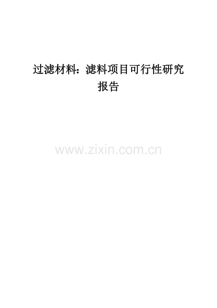 过滤材料：滤料项目可行性研究报告.docx_第1页