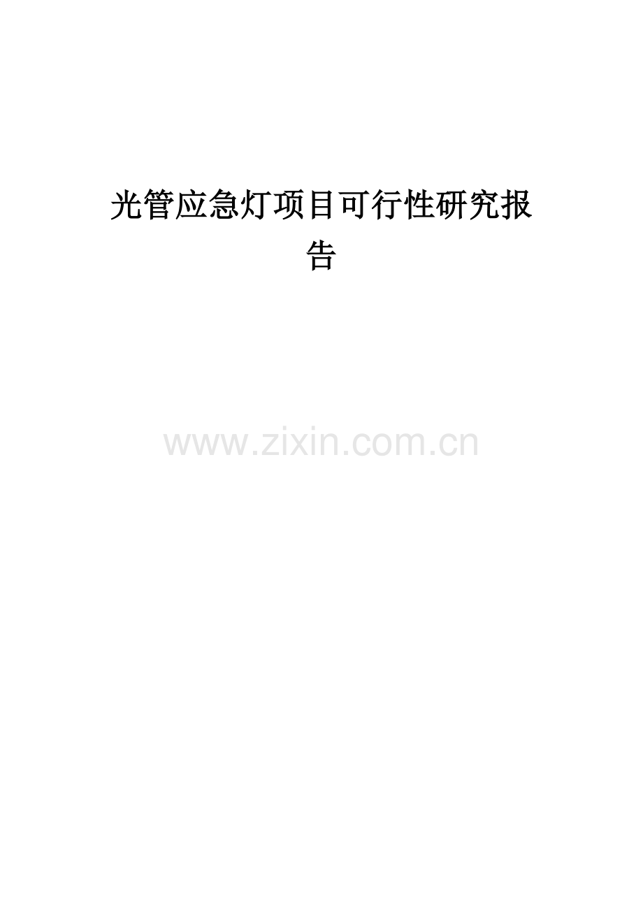 光管应急灯项目可行性研究报告.docx_第1页