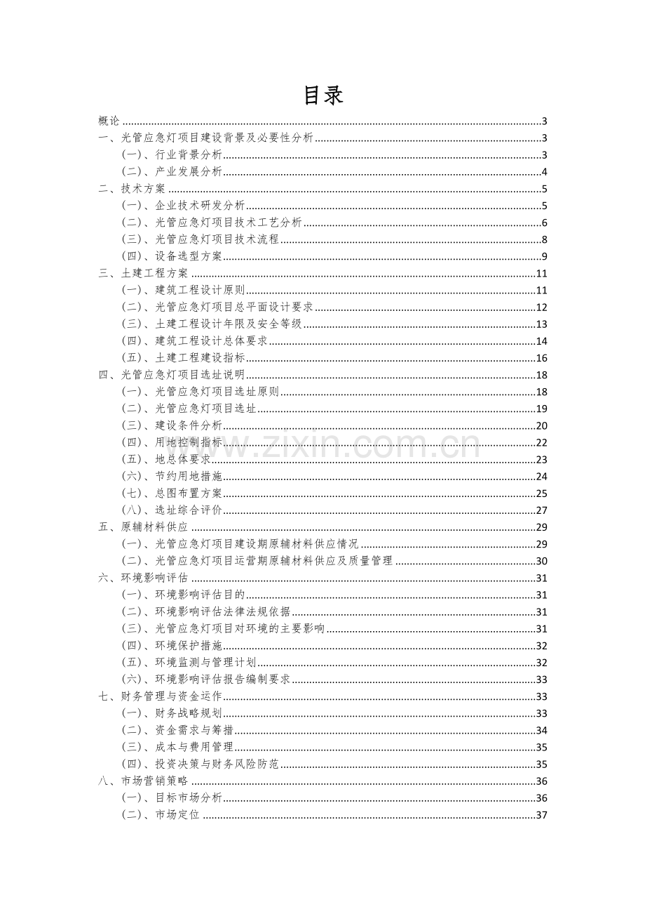 光管应急灯项目可行性研究报告.docx_第2页