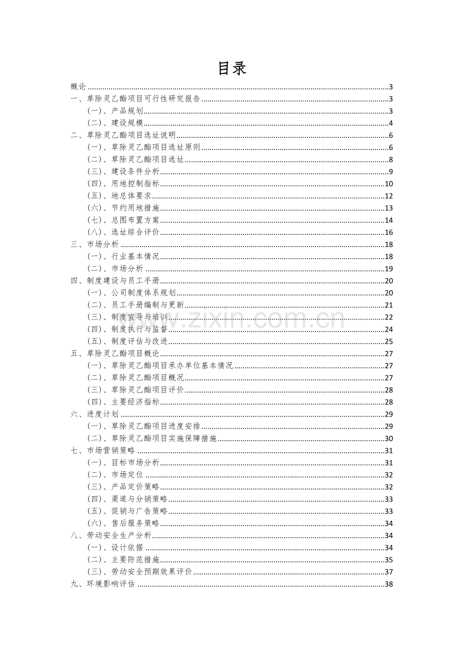 2024年草除灵乙酯项目投资分析及可行性报告.docx_第2页