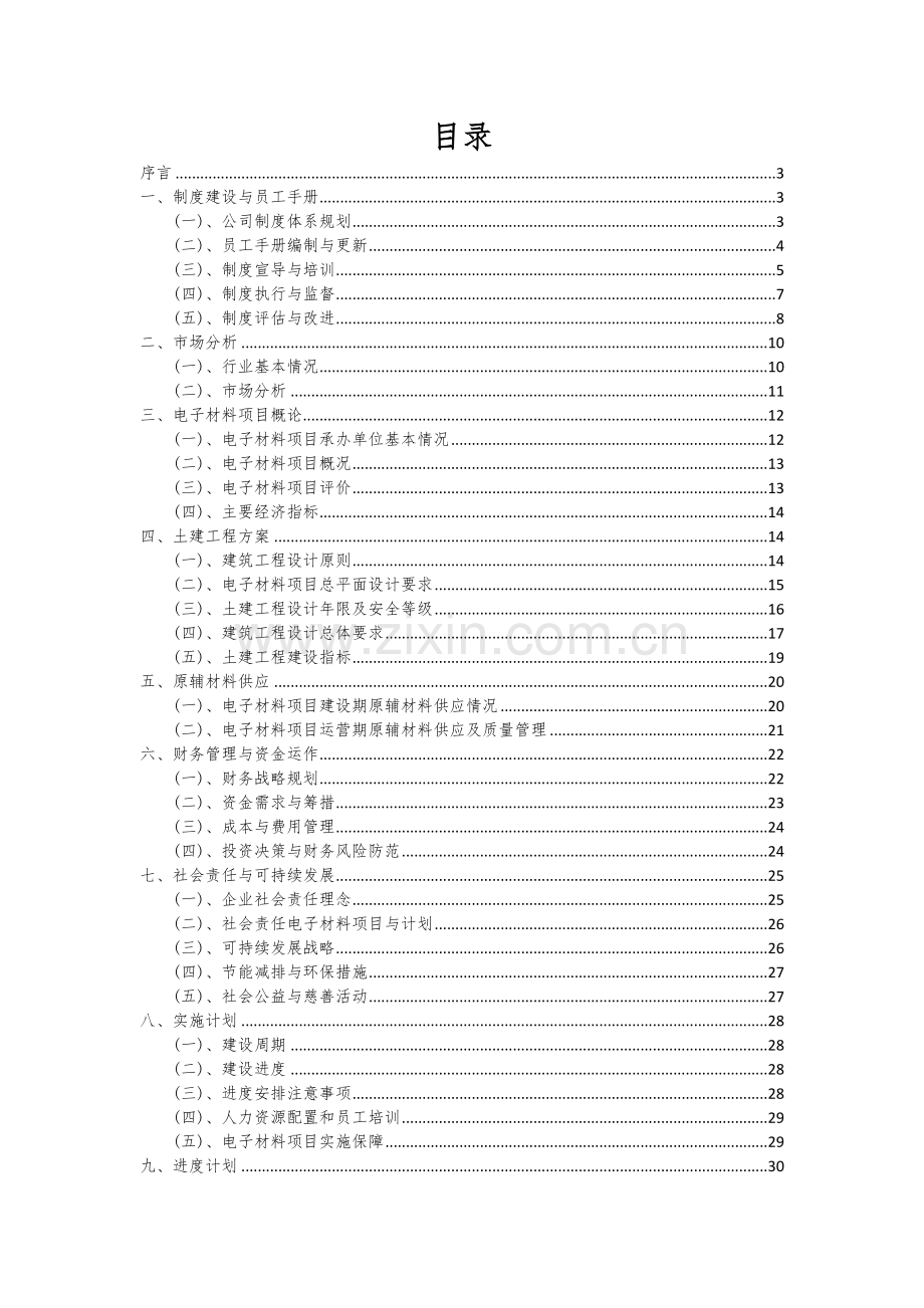 电子材料项目可行性研究报告.docx_第2页