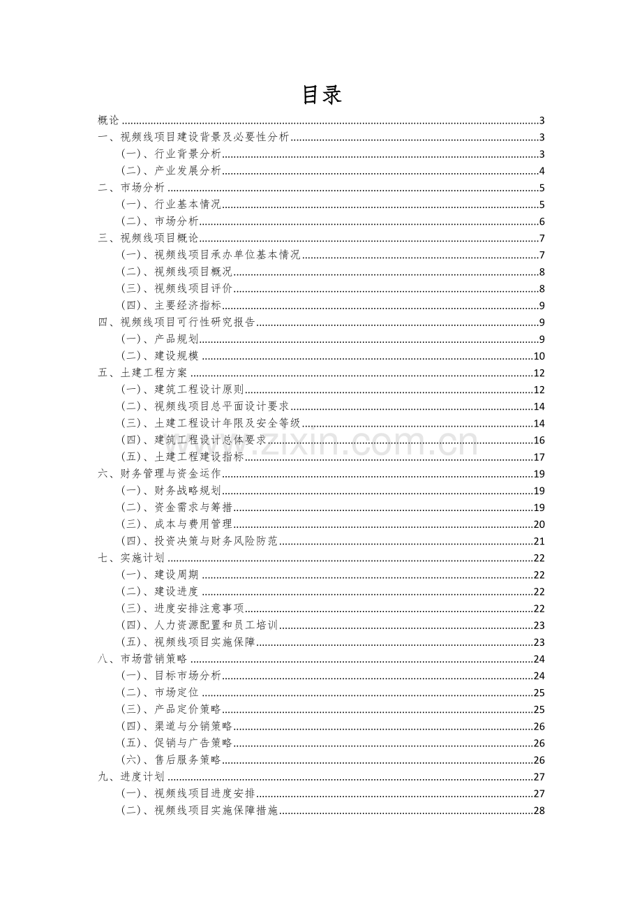 视频线项目可行性分析报告.docx_第2页