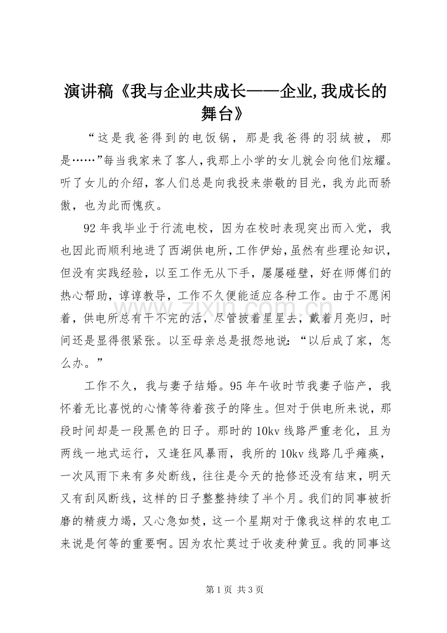 演讲范文《我与企业共成长——企业,我成长的舞台》.docx_第1页