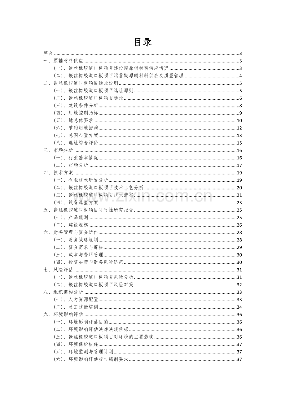 嵌丝橡胶道口板项目可行性研究报告.docx_第2页