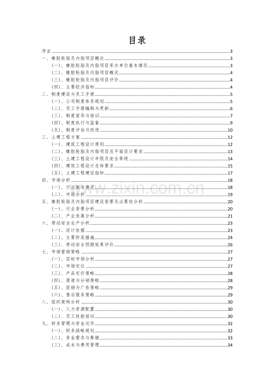 橡胶轮胎及内胎项目可行性分析报告.docx_第2页