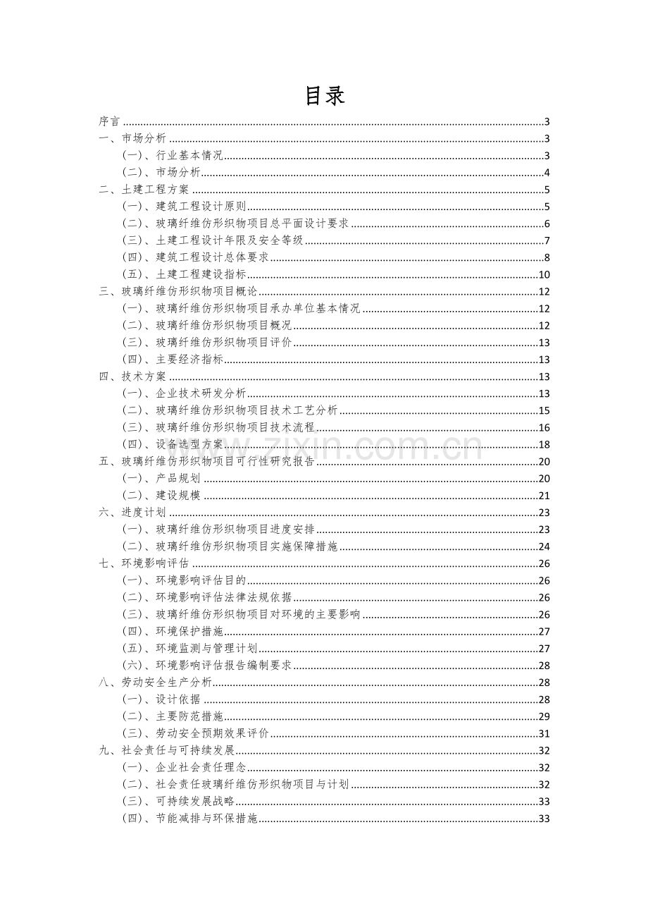 玻璃纤维仿形织物项目可行性研究报告.docx_第2页