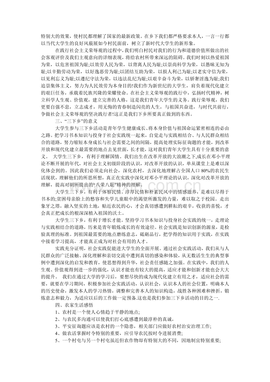 大学生ۥ暑期三下乡实践报告.doc_第3页