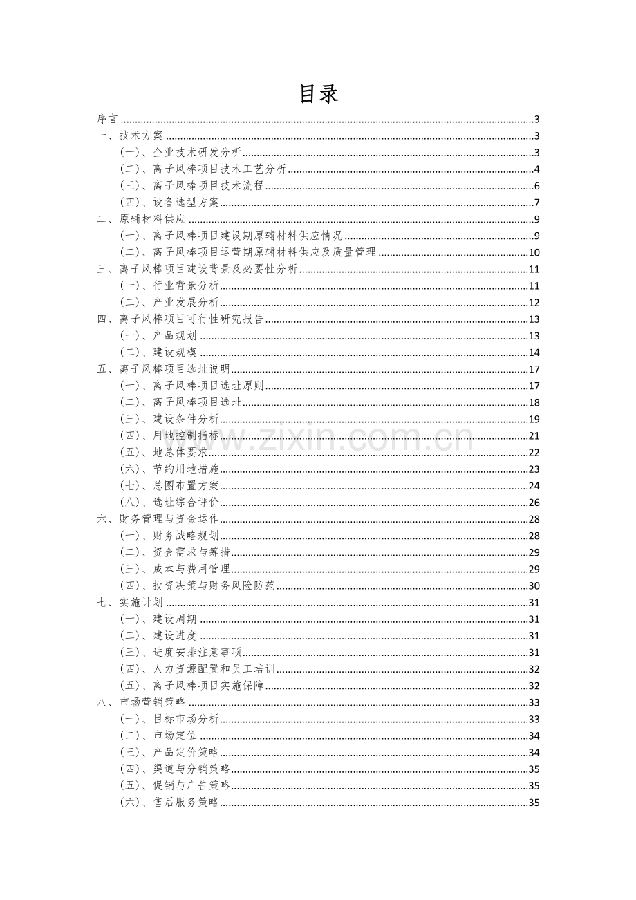 离子风棒项目可行性分析报告.docx_第2页