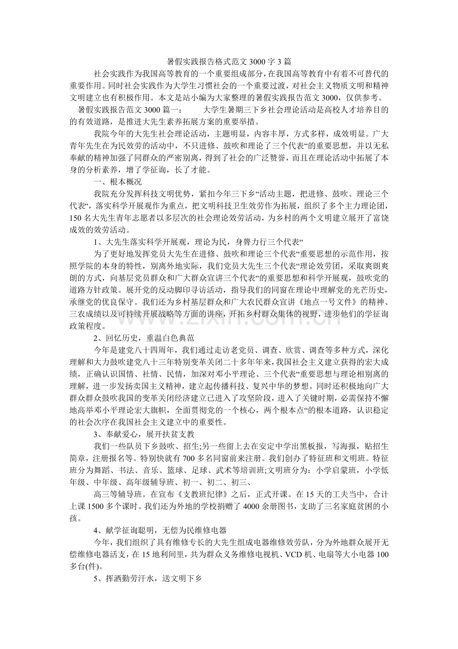 暑假实ۥ践报告格式范文3000字3篇.doc_第1页