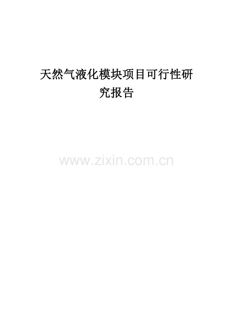 天然气液化模块项目可行性研究报告.docx_第1页