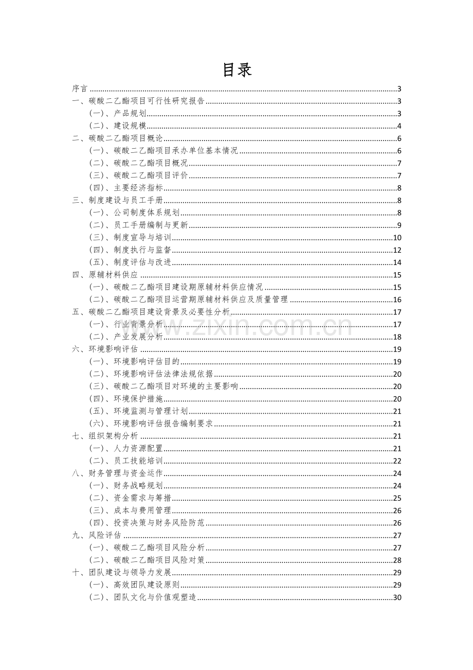 碳酸二乙酯项目可行性研究报告.docx_第2页