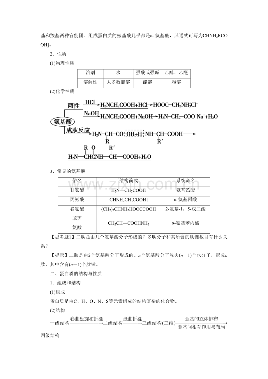 《氨基酸-蛋白质-核酸》教案3.doc_第2页