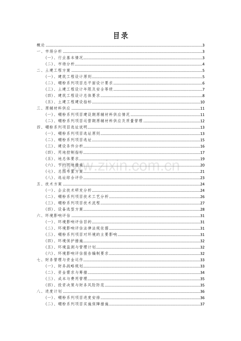 硼粉系列项目可行性研究报告.docx_第2页