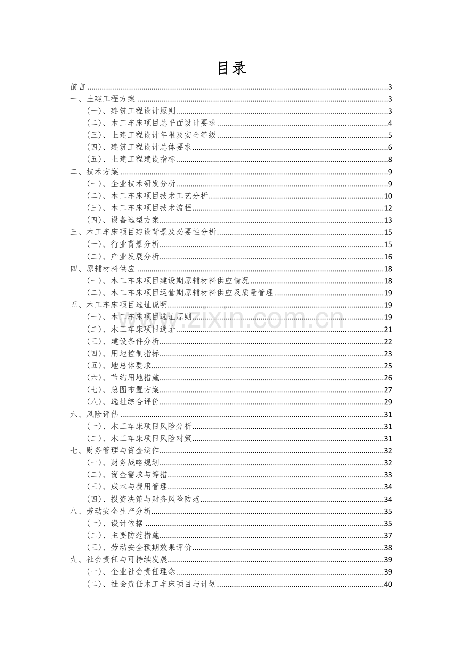 木工车床项目可行性研究报告.docx_第2页