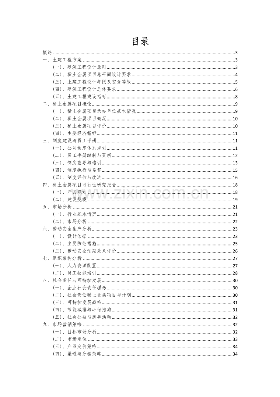 稀土金属项目可行性分析报告.docx_第2页