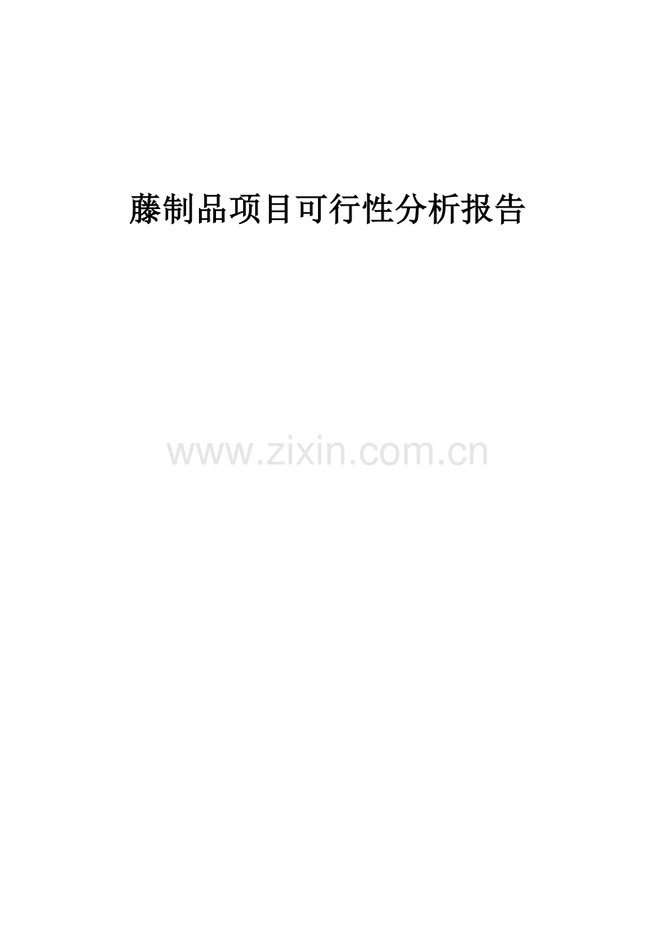 藤制品项目可行性分析报告.docx_第1页