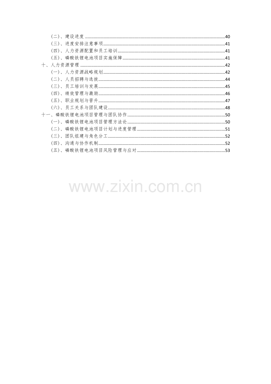 磷酸铁锂电池项目可行性研究报告.docx_第3页