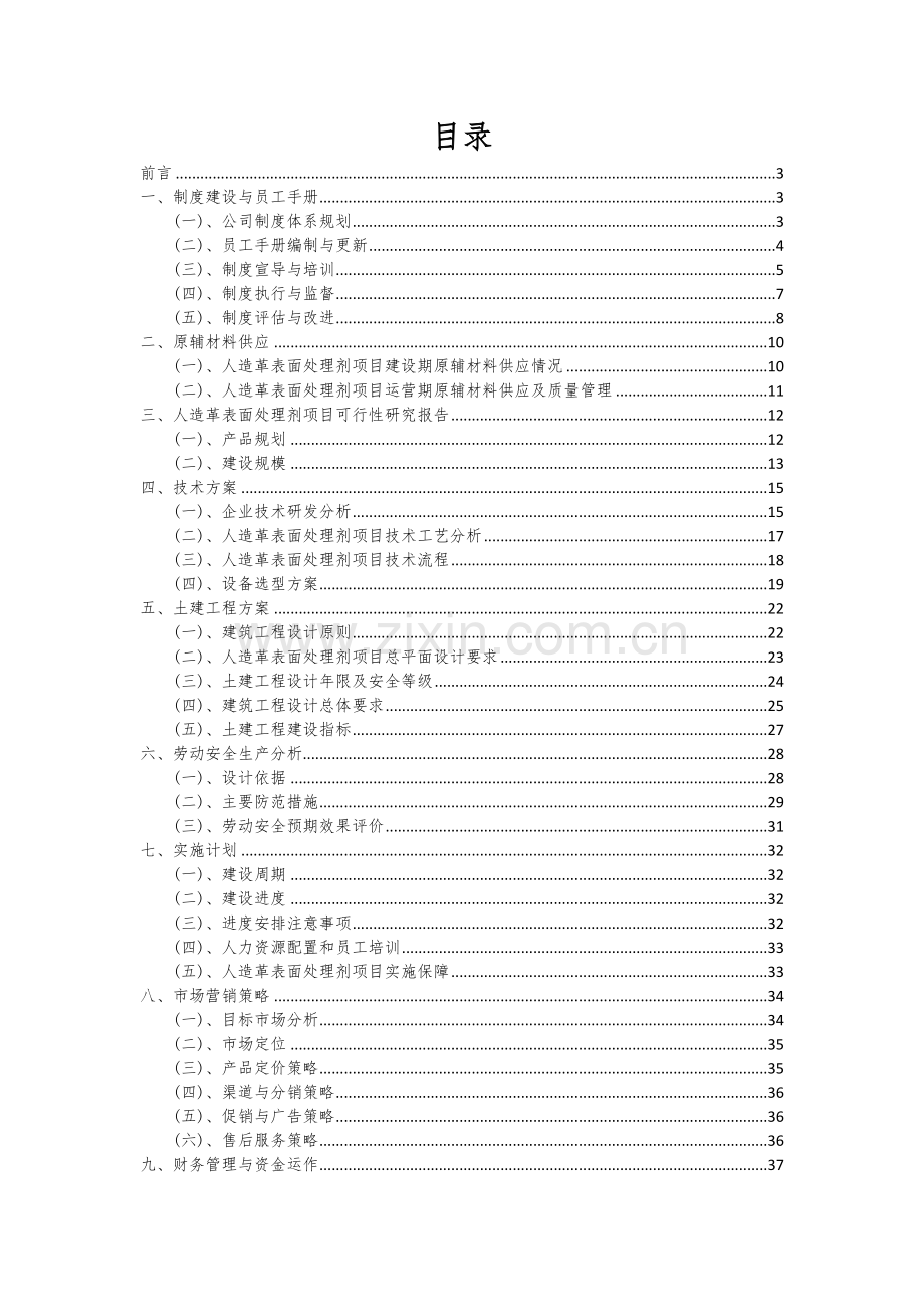 人造革表面处理剂项目可行性研究报告.docx_第2页