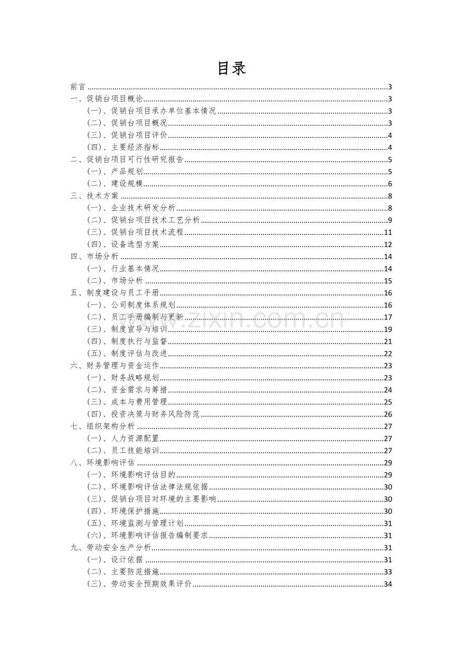 促销台项目可行性研究报告.docx_第2页