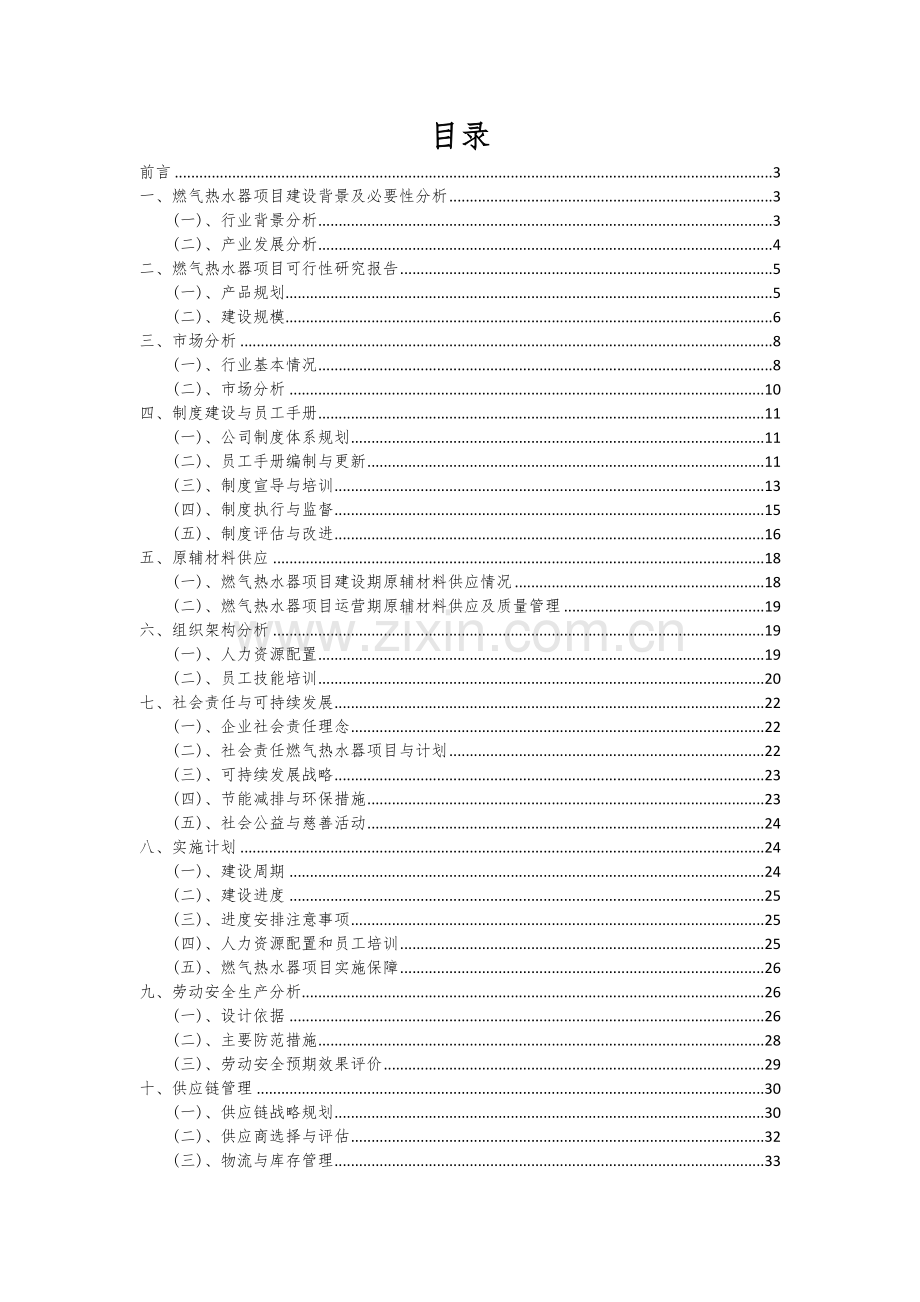 燃气热水器项目可行性分析报告.docx_第2页